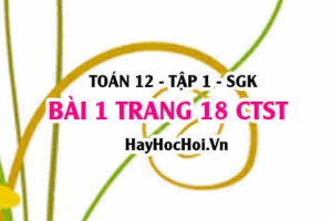 Bài 1 trang 18 Toán 12 tập 1 Chân trời sáng tạo